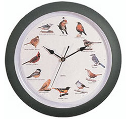 Bird Clocks